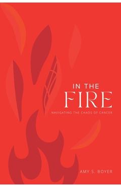 Coperta cărții 'In The Fire - Amy S. Boyer'
