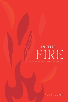 Coperta cărții 'In The Fire - Amy S. Boyer'