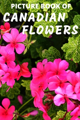 Picture Book of Canadian Flowers: Colorful Extra-Large Print Flower Pictures with Their Names - A Gift/Present Book Idea for Alzheimer's Patients and - Mountain Top Books