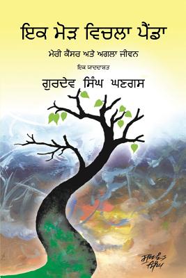 Journey Through a Turning Point: Punjabi Edition - Gurdev S. Ghangas