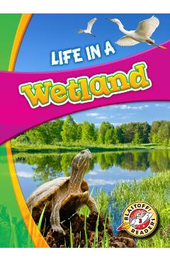 Poza produsului Life in a Wetland - Laura Hamilton Waxman