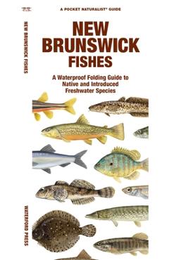 Poza produsului New Brunswick Fishes: A Waterproof Folding Guide to Native and Introduced Freshwater Species - Matthew Morris