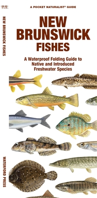 New Brunswick Fishes: A Waterproof Folding Guide to Native and Introduced Freshwater Species - Matthew Morris
