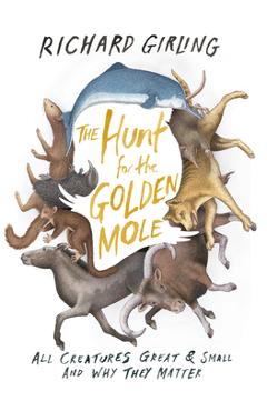 Coperta cărții 'The Hunt for the Golden Mole: All Creatures Great & Small and Why They Matter - Richard Girling'
