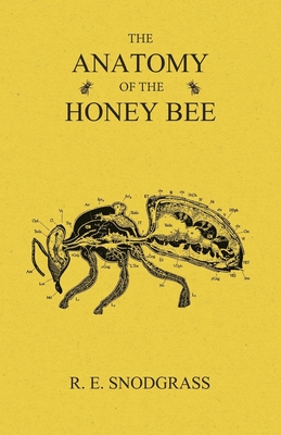 The Anatomy of the Honey Bee - R. E. Snodgrass