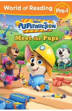 World of Reading: Pupstruction: Meet the Pups - Sheila Sweeny Higginson
