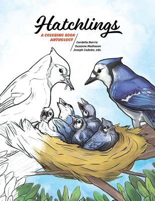 Hatchlings: A Coloring Book Anthology - Cordelia Norris