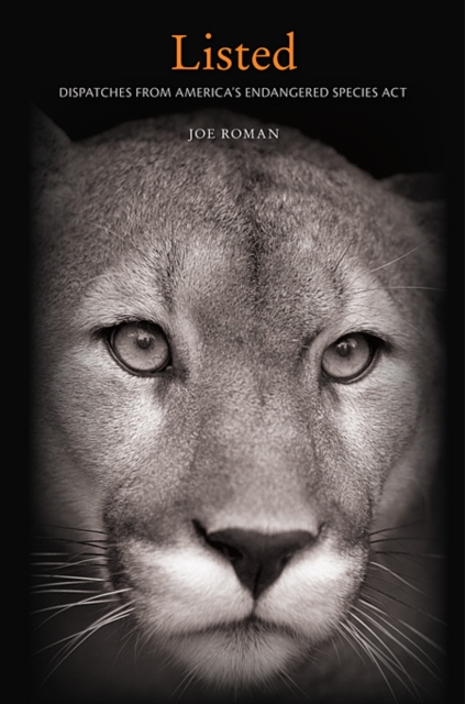 Listed - Roman
