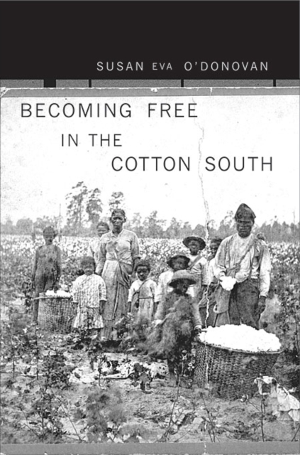 Becoming Free in the Cotton South - Susan Eva O'donovan