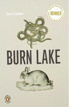 Burn Lake - Carrie Fountain