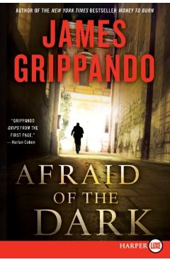 Afraid of the Dark: A Novel of Suspense - James Grippando
