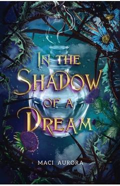 Coperta cărții 'In the Shadow of a Dream: Fareview Fairytale, book 3 - Maci Aurora'