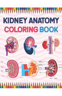 Coperta cărții 'Kidney Anatomy Coloring Book: Nephrology Coloring Book For Nephrologist. Medical Anatomy Coloring Book for kids Boys'