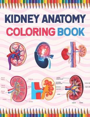 Coperta cărții 'Kidney Anatomy Coloring Book: Nephrology Coloring Book For Nephrologist. Medical Anatomy Coloring Book for kids Boys'