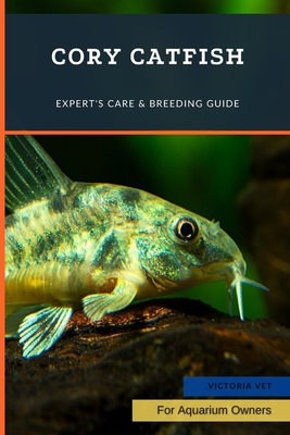 Cory Catfish: Expert's Care & Breeding Guide - Victoria Vet