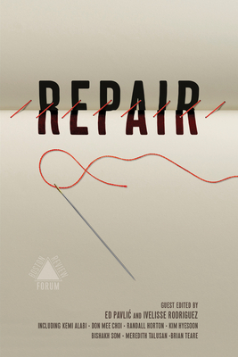 Repair (Boston Review) - Ed Pavlic