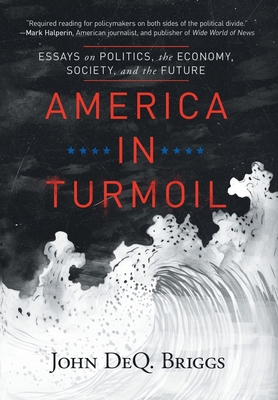 America in Turmoil: Essays on Politics, the Economy, Society, and the Future - John Deq Briggs