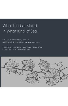 Coperta cărții 'What Kind of Island in What Kind of Sea? - Franz Fühmann'
