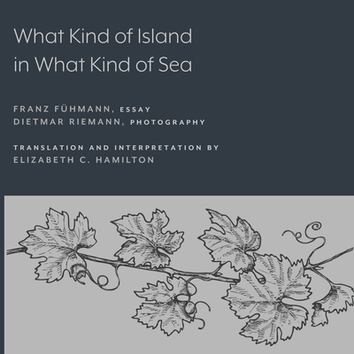 Coperta cărții 'What Kind of Island in What Kind of Sea? - Franz Fühmann'