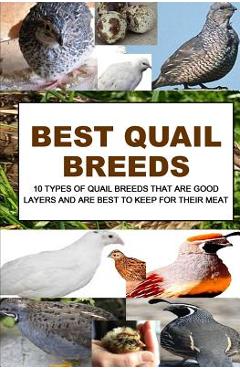 Poza produsului Best Quail Breeds: 10 Types Of Quail Breeds That Are Good Layers And Are Best To Keep For Their Meat - F. Otieno