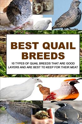 Best Quail Breeds: 10 Types Of Quail Breeds That Are Good Layers And Are Best To Keep For Their Meat - F. Otieno