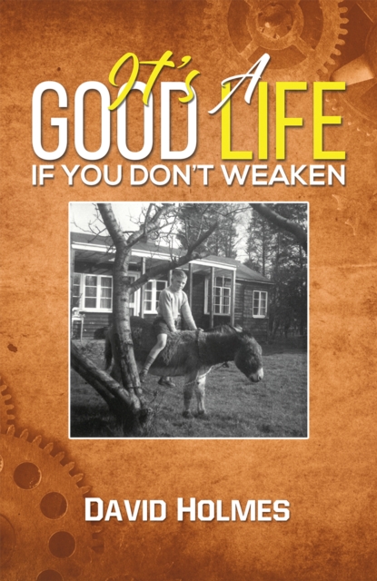 It's a Good Life If You Don't Weaken - David Holmes