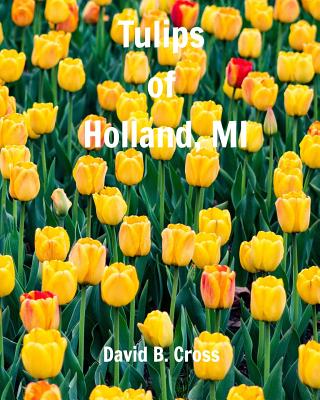 Tulips of Holland, MI - David B. Cross