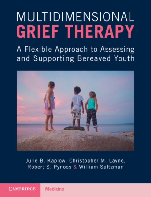 Multidimensional Grief Therapy: A Flexible Approach to Assessing and Supporting Bereaved Youth - Julie B. Kaplow