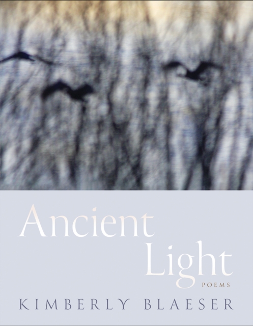 Ancient Light: Poems - Kimberly Blaeser