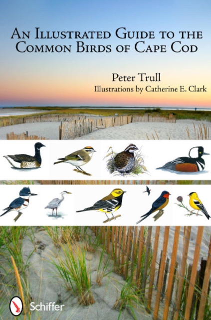 Coperta cărții 'An Illustrated Guide to the Common Birds of Cape Cod - Peter Trull'