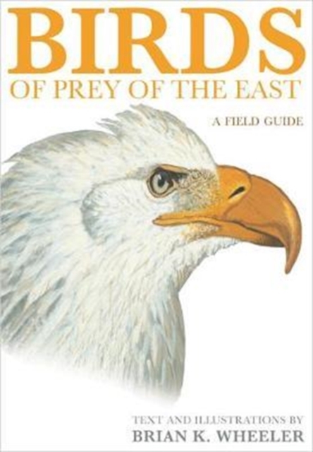 Birds of Prey of the East: A Field Guide - Brian K. Wheeler