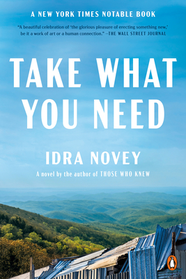 Take What You Need - Idra Novey
