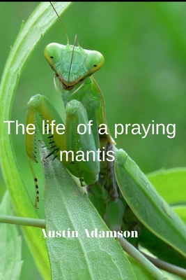Тhe life of a praying mantis - Austin Adamson