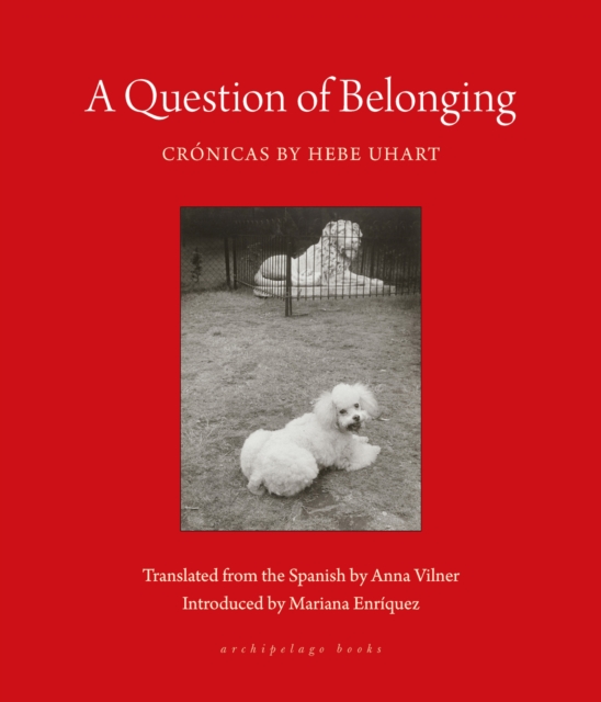 A Question of Belonging: Crónicas - Hebe Uhart