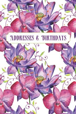 Addresses & Birthdays: Watercolor Purple Orchids - Andante Press