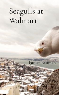 Seagulls at Walmart - Parker Bauman