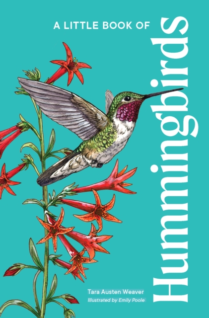 A Little Book of Hummingbirds - Tara Austen Weaver