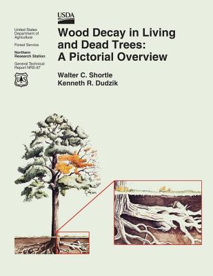 Wood Decay in Living and Dead Trees: A Pictorial Overview - United States Department Of Agriculture