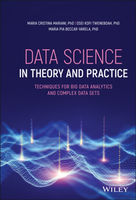 Data Science in Theory and Practice - Maria C. Mariani