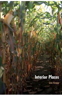 Coperta cărții 'Interior Places - Lisa Knopp'