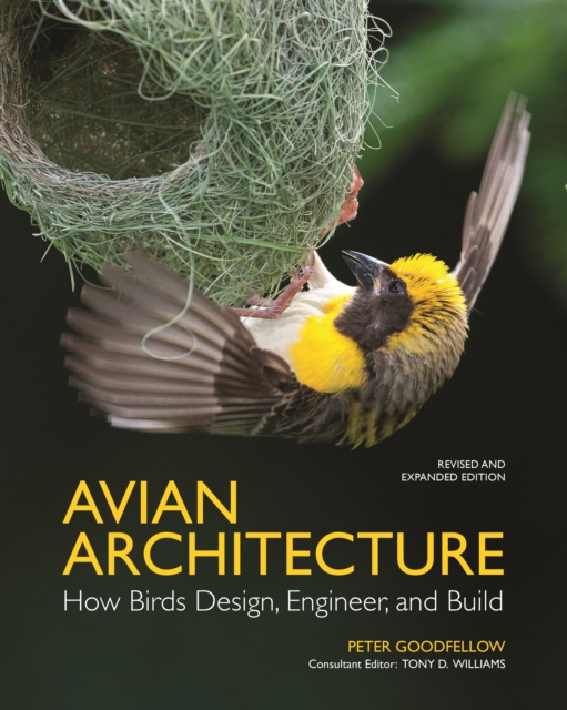 Avian Architecture Revised and Expanded Edition: How Birds Design, Engineer, and Build - Peter Goodfellow