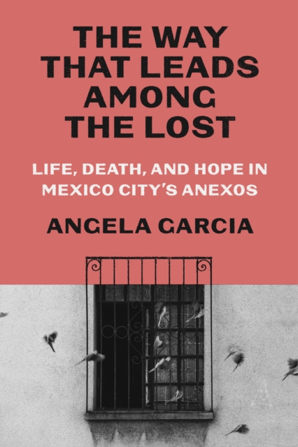 The Way That Leads Among the Lost: Life, Death, and Hope in Mexico City's Anexos - Angela Garcia
