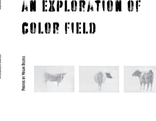 An Exploration In Color Field - Megan Delzell