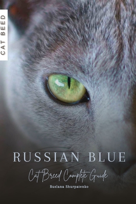 Russian Blue: Cat Breed Complete Guide - Ruslana Shurpatenko
