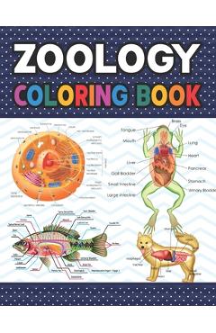Zoology Coloring Book: Collection of Simple Illustrations of Zoology. The New Surprising Magnificent Learning Structure For Veterinary Anatom - Sarniczell Publication