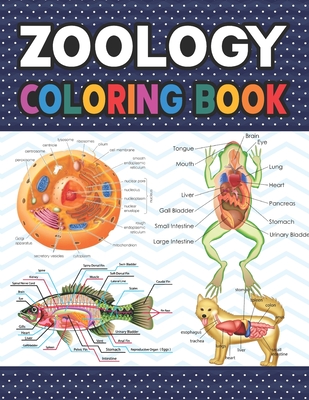 Coperta cărții 'Zoology Coloring Book: Collection of Simple Illustrations of Zoology. The New Surprising Magnificent Learning Structure'