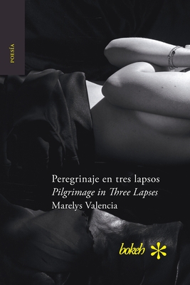 Peregrinaje en tres lapsos / Pilgrimage in Three Lapses - Marelys Valencia