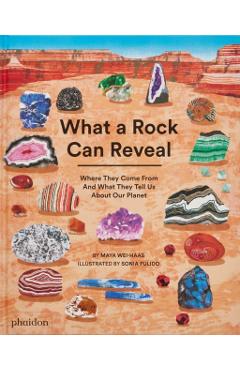 What a Rock Can Reveal: Where They Come from and What They Tell Us about Our Planet - Maya Wei-haas