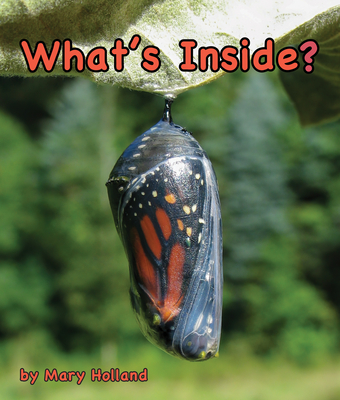 What's Inside? - Mary Holland