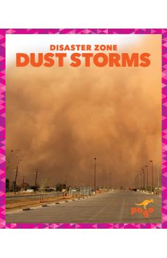 Coperta cărții 'Dust Storms - Vanessa Black'